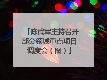 陈武军主持召开部分领域重点项目调度会（图）