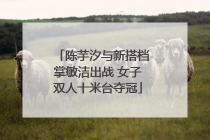 陈芋汐与新搭档掌敏洁出战 女子双人十米台夺冠