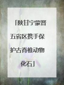 陕甘宁蒙晋五省区携手保护古脊椎动物化石