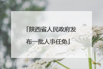 陕西省人民政府发布一批人事任免