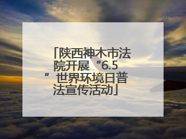 陕西神木市法院开展“6.5”世界环境日普法宣传活动