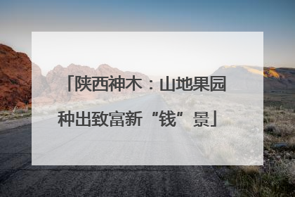 陕西神木：山地果园种出致富新“钱”景