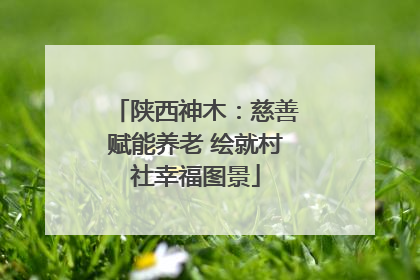 陕西神木：慈善赋能养老 绘就村社幸福图景