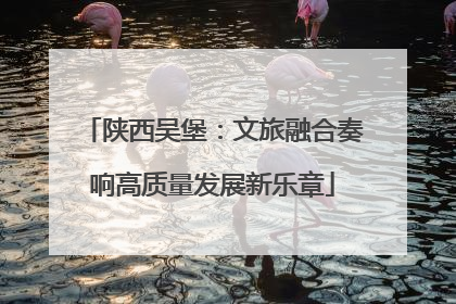 陕西吴堡：文旅融合奏响高质量发展新乐章
