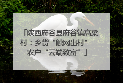 陕西府谷县府谷镇高梁村：乡货“触网出村” 农户“云端致富”