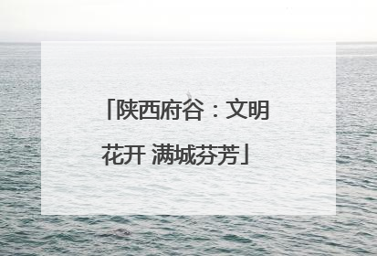 陕西府谷：文明花开 满城芬芳
