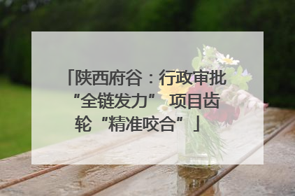 陕西府谷：行政审批“全链发力” 项目齿轮“精准咬合”
