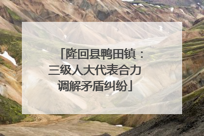 隆回县鸭田镇：三级人大代表合力调解矛盾纠纷