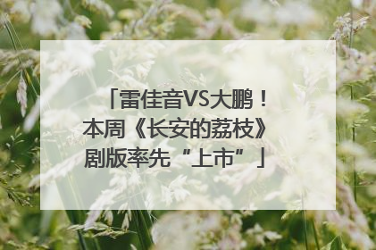 雷佳音VS大鹏！本周《长安的荔枝》剧版率先“上市”