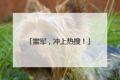 雷军，冲上热搜！