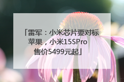 雷军：小米芯片要对标苹果，小米15SPro售价5499元起
