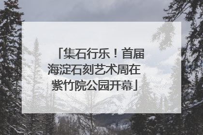 集石行乐！首届海淀石刻艺术周在紫竹院公园开幕