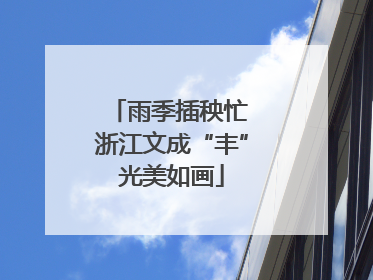 雨季插秧忙 浙江文成“丰”光美如画