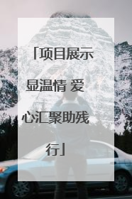 项目展示显温情 爱心汇聚助残行