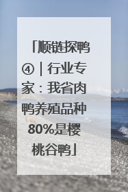 顺链探鸭④｜行业专家：我省肉鸭养殖品种80%是樱桃谷鸭
