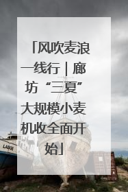 风吹麦浪一线行｜廊坊“三夏”大规模小麦机收全面开始