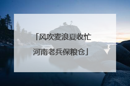 风吹麦浪夏收忙 河南老兵保粮仓