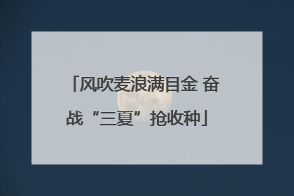 风吹麦浪满目金 奋战“三夏”抢收种