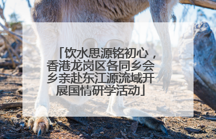 饮水思源铭初心，香港龙岗区各同乡会乡亲赴东江源流域开展国情研学活动