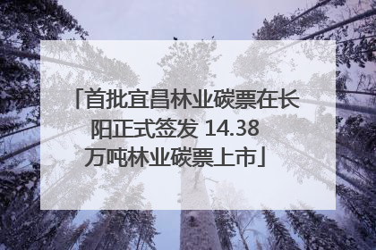 首批宜昌林业碳票在长阳正式签发 14.38万吨林业碳票上市