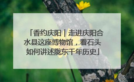 香约庆阳｜走进庆阳合水县这座博物馆，看石头如何讲述陇东千年历史