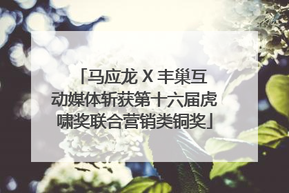 马应龙 X 丰巢互动媒体斩获第十六届虎啸奖联合营销类铜奖