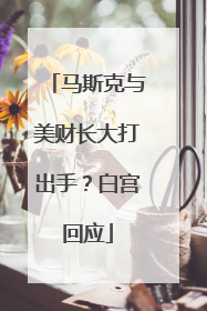 马斯克与美财长大打出手？白宫回应