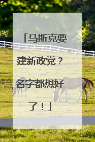马斯克要建新政党？名字都想好了！