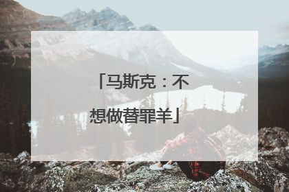 马斯克：不想做替罪羊