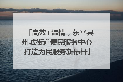 高效+温情，东平县州城街道便民服务中心打造为民服务新标杆