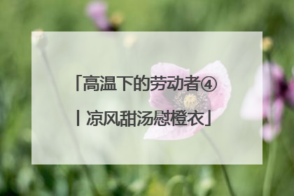 高温下的劳动者④丨凉风甜汤慰橙衣