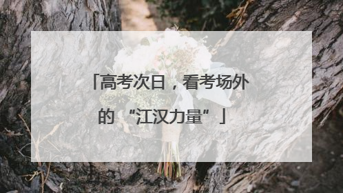 高考次日，看考场外的 “江汉力量”