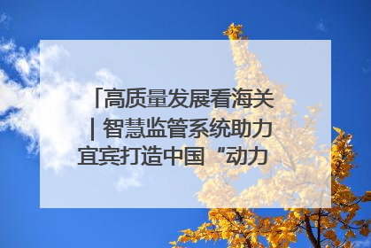 高质量发展看海关｜智慧监管系统助力宜宾打造中国“动力电池之都”