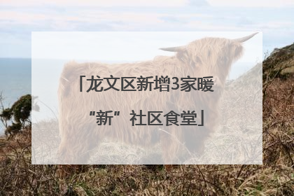 龙文区新增3家暖“新”社区食堂