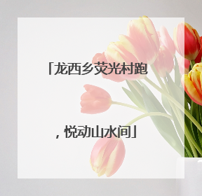 龙西乡荧光村跑，悦动山水间