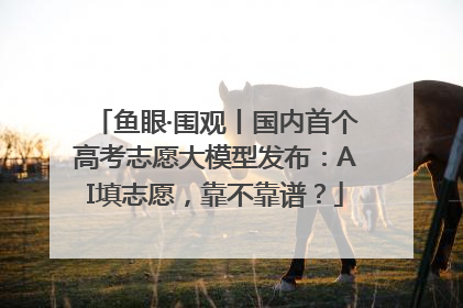 鱼眼·围观丨国内首个高考志愿大模型发布：AI填志愿，靠不靠谱？
