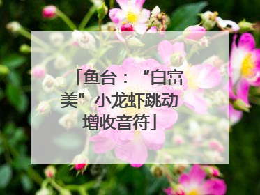 鱼台：“白富美”小龙虾跳动增收音符