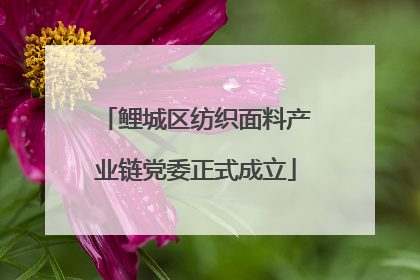 鲤城区纺织面料产业链党委正式成立