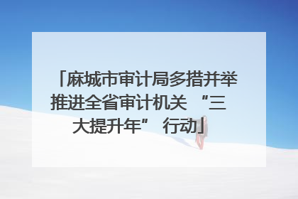 麻城市审计局多措并举推进全省审计机关 “三大提升年” 行动