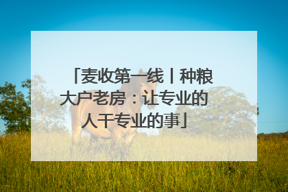 麦收第一线丨种粮大户老房：让专业的人干专业的事