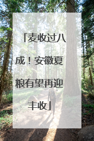 麦收过八成！安徽夏粮有望再迎丰收