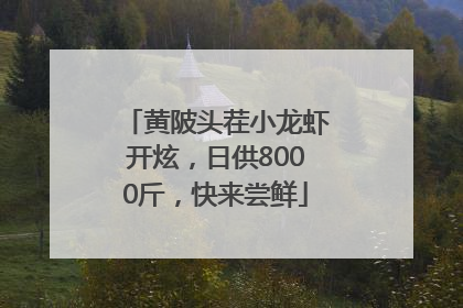 黄陂头茬小龙虾开炫，日供8000斤，快来尝鲜