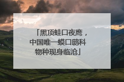 黑顶蛙口夜鹰，中国唯一蟆口鸱科物种现身临沧