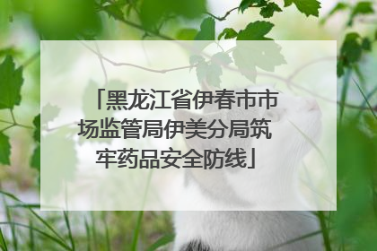 黑龙江省伊春市市场监管局伊美分局筑牢药品安全防线