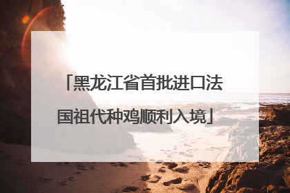 黑龙江省首批进口法国祖代种鸡顺利入境