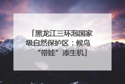 黑龙江三环泡国家级自然保护区：候鸟“带娃”添生机
