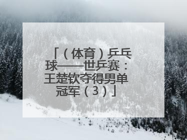 （体育）乒乓球——世乒赛：王楚钦夺得男单冠军（3）