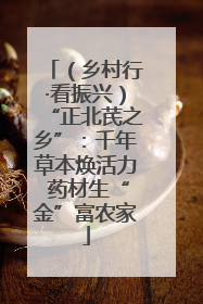 （乡村行·看振兴）“正北芪之乡”：千年草本焕活力 药材生“金”富农家