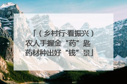 （乡村行·看振兴）农人手握金“药”匙 药材种出好“钱”景