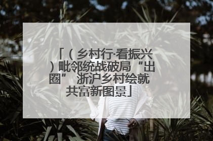 （乡村行·看振兴）毗邻统战破局“出圈” 浙沪乡村绘就共富新图景